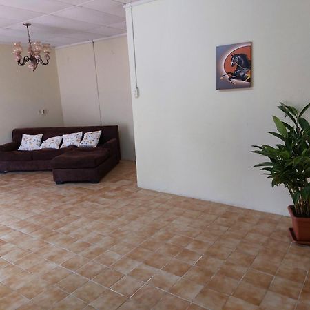 Ferienwohnung Mi Hogar Julianadorp Exterior foto