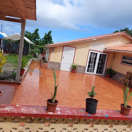 Ferienwohnung Mi Hogar Julianadorp Exterior foto